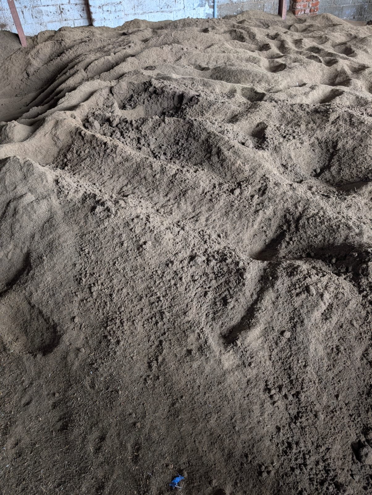 Cow dung powder